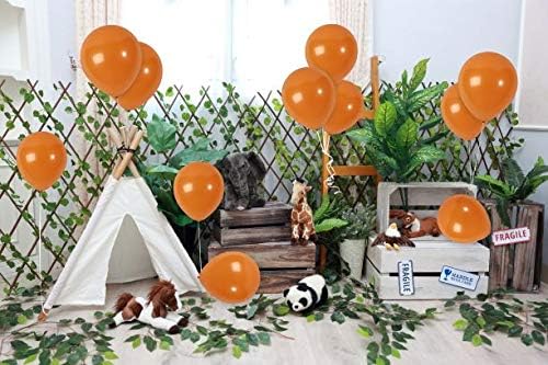 Miniatura 4 de Globos de látex mate de 10 pulgadas