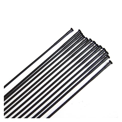 Rayon de vélo 14G droit en acier inoxydable triple bout noir