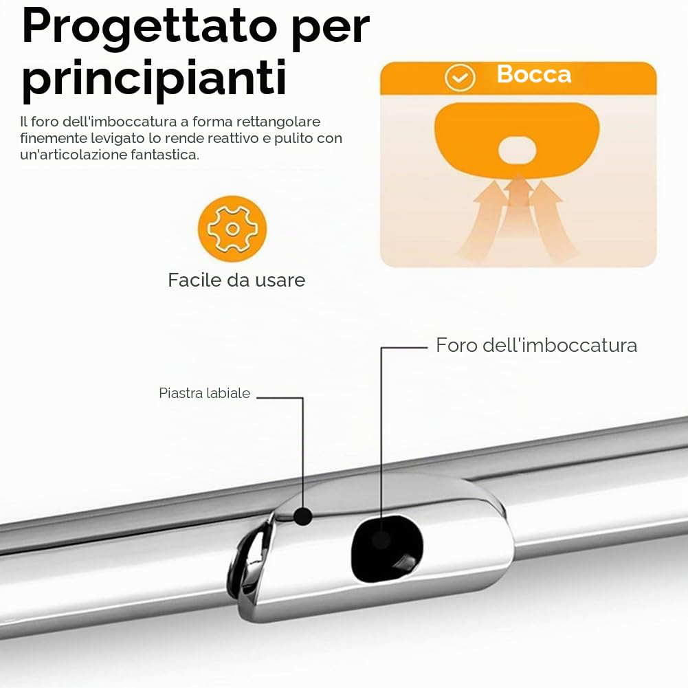 16 fori aperti chiusi C-tonart flauto traverso professionale strumento musicale da concerto, con scatola di pulizia