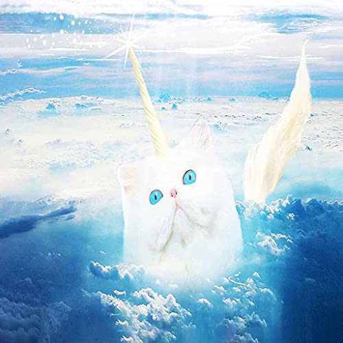 Couverture chat blanc en flanelle microfibre douce 130x150 cm pour lit et canapé