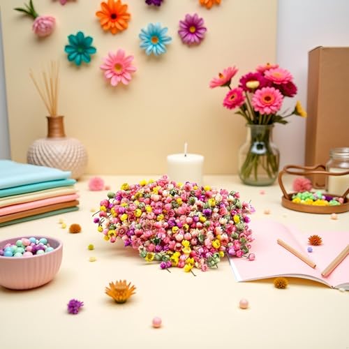 140 piezas flores secas prensadas margaritas para manualidades miniatura 2