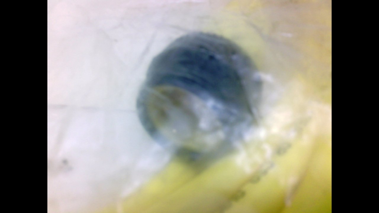 Balluff C05 Ee4-04-Ty-100M Cable, 9Meters, Male/Female, Straight/St C05 Ee4-04-Ty-100M