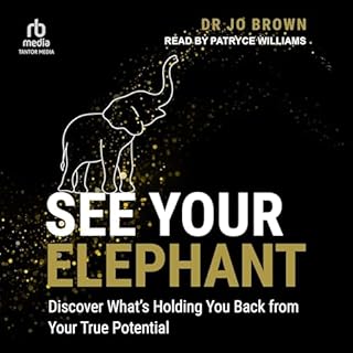 See Your Elephant cover art