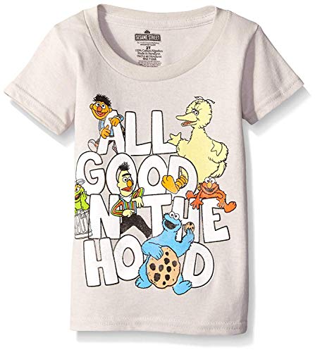 Sesame Street Little Boys' Toddler Short Sleeve T-Shirt, Silver, 2T