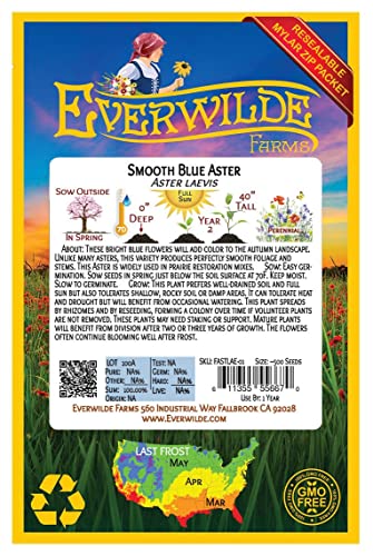 Everwilde Farms - 500 Smooth Blue Aster Native Wildflower Seeds - Gold Vault Jumbo Seed Packet #TOP1