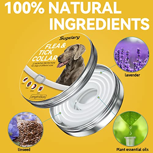 Sugelary Collare Antipulci Cane, Collare