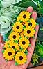 HukDok Handmade Mulberry Paper Flowers for Scrapbooking Embellishment Wedding Supply Accessory DIY Crafts Project, Artificial Mini Paper Flower (Yellow Sunflower) #2