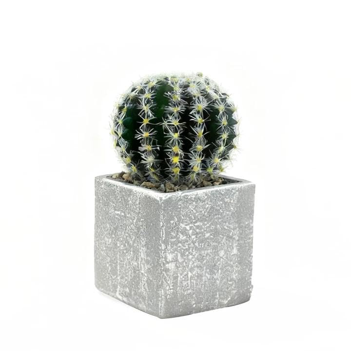Plantes succulentes artificielles en pot pour décoration de bureau et salon
