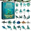 Sea Glass Advent Calendar 2025, 2025 Sea Glass Marine Life Advent Calendar, 24 Cute SeaLife Decorations, Holiday and Home Decoration (1pcs)