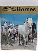 Most Beautiful Horses 0707104424 Book Cover