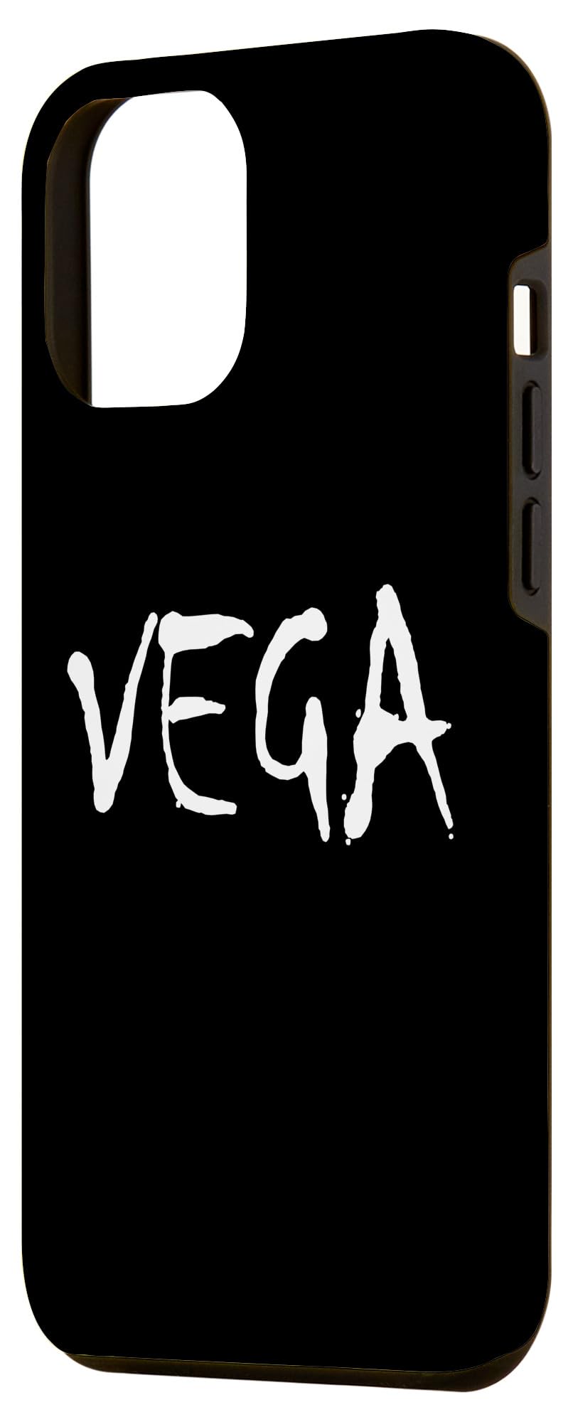Vega Last Name American Hispanic Mexican Spanish Family Case for iPhone 15 Pro Max - Image 2