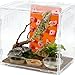 Okueejur Mini Reptile Rock Climbing Wall, Terrarium Enclosure Enrichment & Habitat Décor for Bearded Dragons, Geckos, Lizards, Snakes, Tree Frogs and Small Amphibians (Orange & Pink)