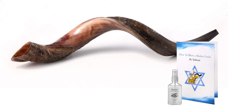 Yaliland Shofar Horn Musical Instrument - Kosher Kudu Ram Horns from Israel - Includes Bag, Book Guide, Anti-Odor Spray, 3 Brushes - Use for Religious Ceremonies - 24"-26", Half Polished-Half Natural : Musical Instruments
