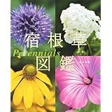 宿根草図鑑　Ｐｅｒｅｎｎｉａｌｓ