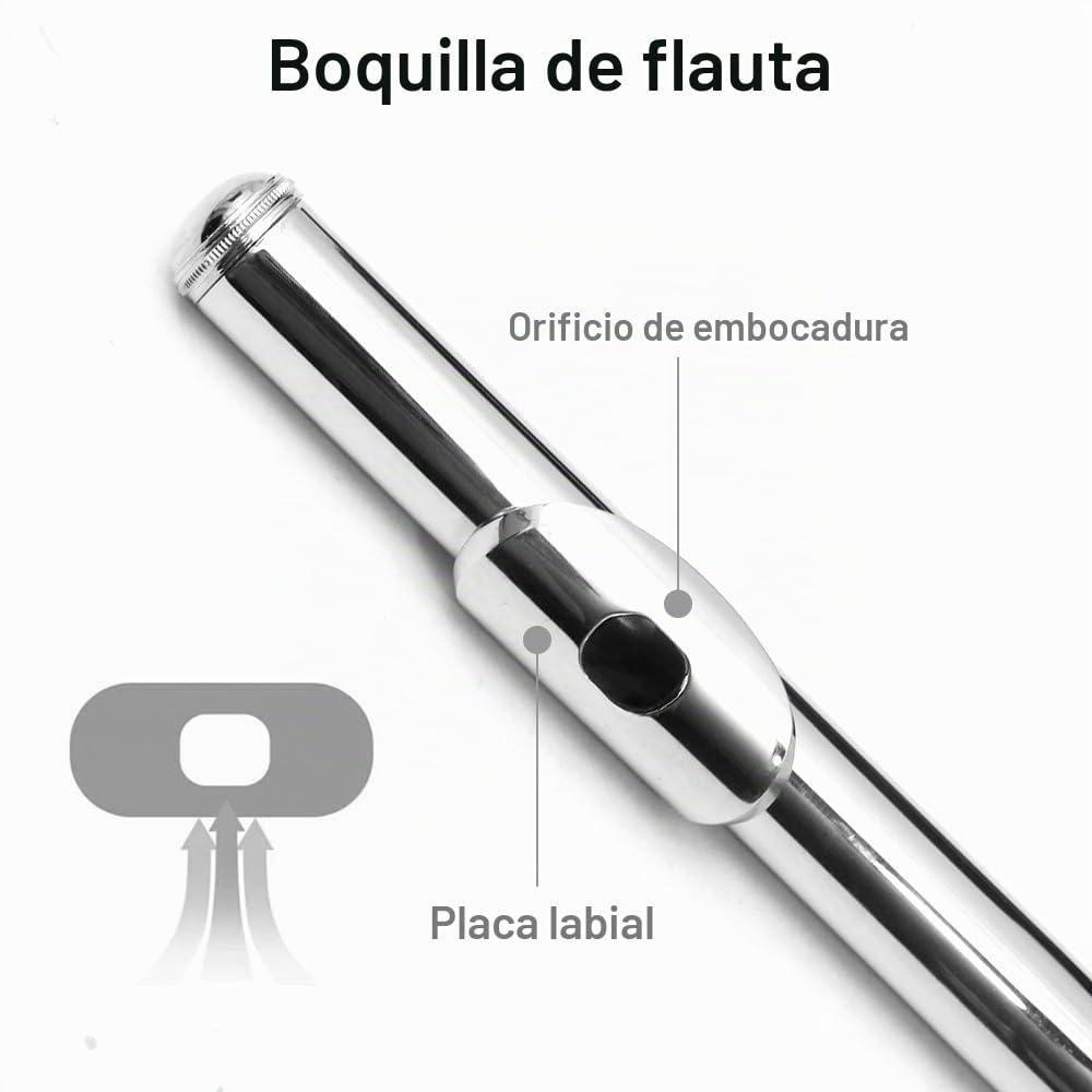 Flauta de 17 teclas con agujero cerrado C para principiantes, kit de limpieza con guantes, varilla de afinación de tela, funda rígida de níquel siver, instrumento de flauta de 17 teclas para