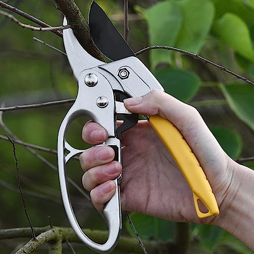 Tijeras para Podar con Mecanismo de Carraca SagaSave miniatura 7
