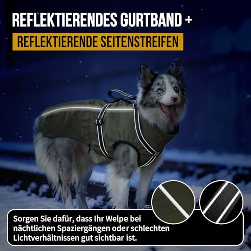 OneTigris Hundejacke, Wasserdichter Winterweste Jacken Hundemantel Mit Bediengriff, Bequeme Ausscheidung, Reißverschluss und Elastisches Design, Einfaches An-und Ausziehen, Reflektierend,M,Armeegrün