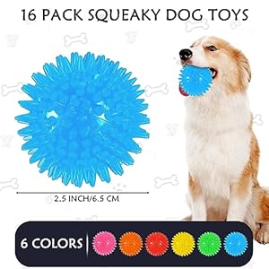   16-Pack-Squeaky-Dog-Balls-25-Spiky-Dog-Ball-Toys-TPR-Rubber-Balls-Squeaky-Spike-Chew-Ball-for-Teething-Interactive-Fetch-Toys-for-Small-Medium-Dogs-Puppy-Pet-Blue