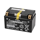  YUASA 61323 - Bateria alta calidad YTZ10S Wet Charged SELLADA (cargada y activada)