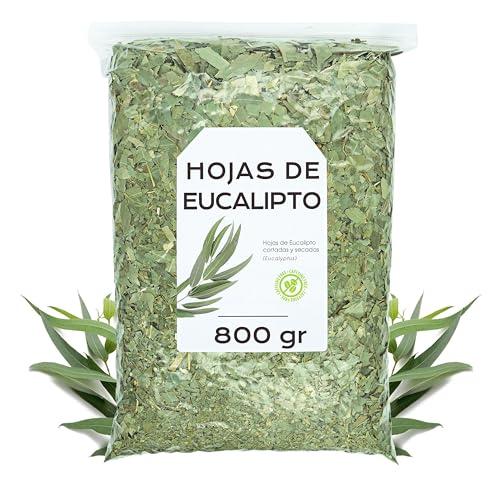 Infusion Eucalipto 800g - Eucalipto Hojas - Hojas de Eucalipto Naturales - Infusiones a Granel - Rica en Minerales y Nutrientes - Propiedades Naturales (800 gr)
