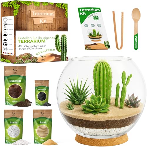 PYEF CRAFTS Terrarium-Set für Sukkulenten & Kakteen DIY - Terrarium-Set aus Glas Ökosystem Wüste - Aquarien-Set für Sukkulenten & Kakteen Natur - Ewiger Wüstengarten (Ohne Pflanze) (2L)