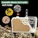 Ant Farm Castle - Ant Farms for Kids with Yellow Sand Complete Tool Kit, Live Ants Habitat Science Kit - Great Gift for Boys, Girls and Student