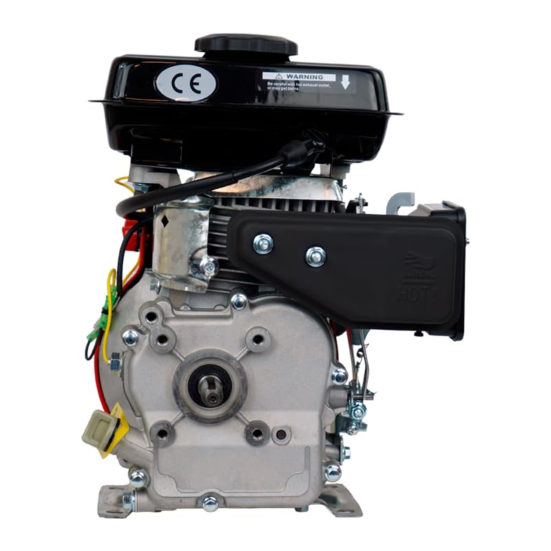 Benzinmotor 4 Zeiten 100CC 3 CV