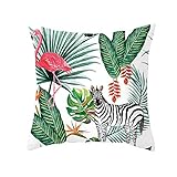 MATERIAL DE LA FUNDA DE COJÍN: 100% funda de almohada de terciopelo de grado A. La tela es pesada y adecuada para todos los patrones, con buena textura y textura clara. Antiestático, transpirable y agradable a la piel, muy cómodo. Hay 2 opciones: una con relleno y otra sin relleno.