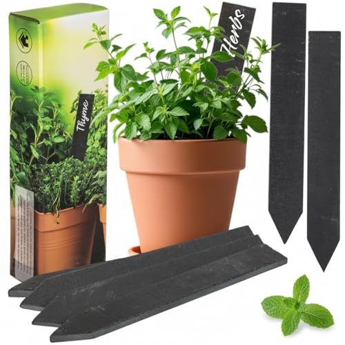 Étiquettes pour plantes en ardoise réutilisables MIJOMA pour marquage potager extérieur
