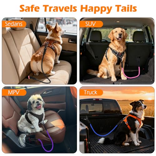 PetBonus Dog Seat Belt for Car, Durable Rope Dog Car Harness Seatbelt for Vehicle, Pet Tether Safety Restraint with Heavy Duty Buckle Hook Latch Lockable Clip for Small Medium Large Breeds (Red) - Thumbnail 5