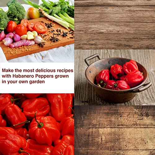 Habanero Pepper Seeds - Open Pollinated/All Natural/Non-Gmo Chili Pepper Vegetable Seeds For Planting Home Garden - Pack Of 30 Hot Pepper Heirloom Seeds - Growing Instructions Included #TOP3