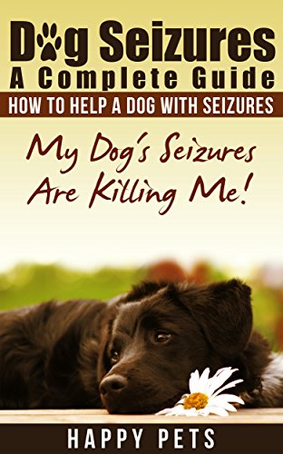 home remedies for dog seizures