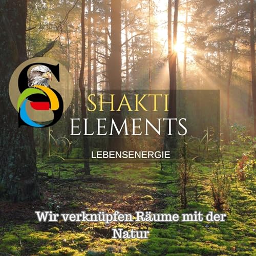 Shakti Elements Lebensenergie cover art