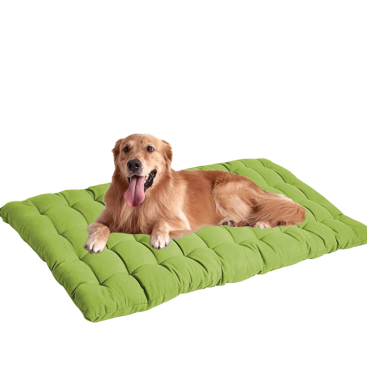 Lit de cage pour chien vert 80x50cm avec tapis apaisant lavable XXL