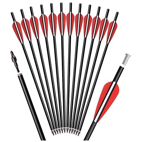Crossbow Bolts Arrows Fiberglass 16 Inch Hunting Archery Target Arrow with Replaced 100 Grain Arrowheads Flat Knocks (Pack of 12) Cover