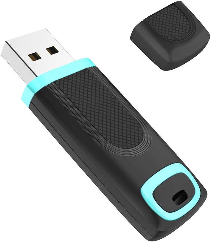 RAOYI 32GB USB 3.0 Flash Drive Thumb Drive USB 3.0 Memory Stick Single 32GB USB Key Zip Drive USB Drive (32G, Cyan)