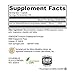 XYMOGEN Green Tea 600 - Antioxidant & Immune Support - 600 mg Green Tea Aqueous Extract - Vegetarian, Gluten-Free & Non-GMO - 60 Capsules