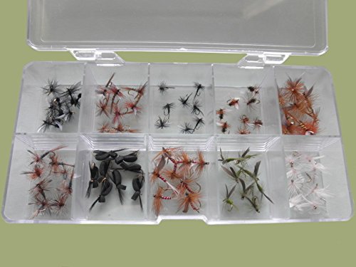 truite Dry mouches dans une boîte de présentation, 80 mouches en Total, toutes les Named, tailles mélangées