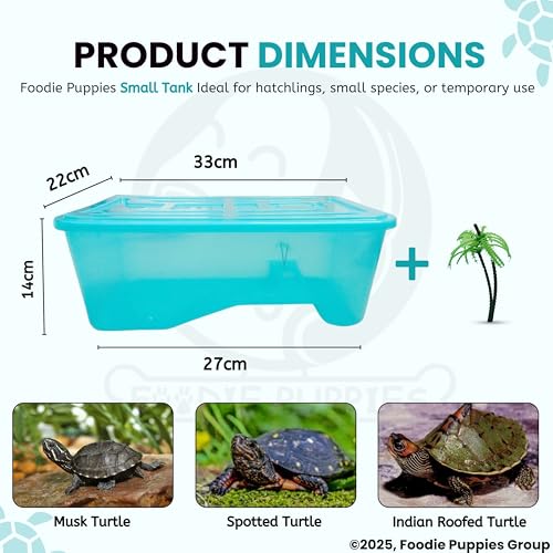 Image of Foodie Puppies Rectangle Turtle Tank Aquarium (Small - 1 FT /13 In Length) with Lid, Ramp | Basking Platform for Turtle Habitat, Reptile Breeding, Safe & Durable with Escape Prevention (No Accessories)