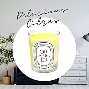 Diptyqueorangercandle65ozi0005050 Urban Country Home Decor Diptyque oranger candle 65 oz i0005050 urban country home decor