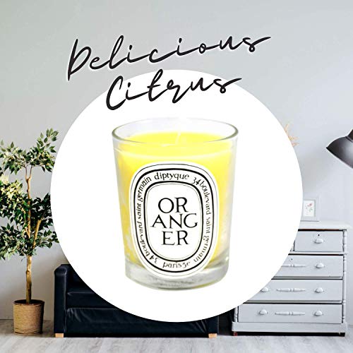 Diptyqueorangercandle65ozi0005050 Urban Country Home Decor Diptyque oranger candle 65 oz i0005050 urban country home decor