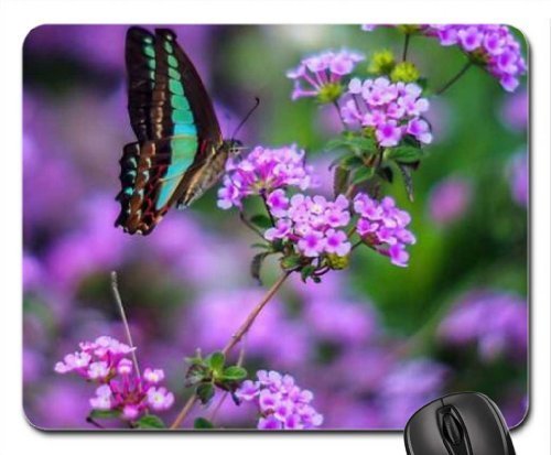 Preisvergleich Produktbild Ein palmer gentle wings of beauty mauspad