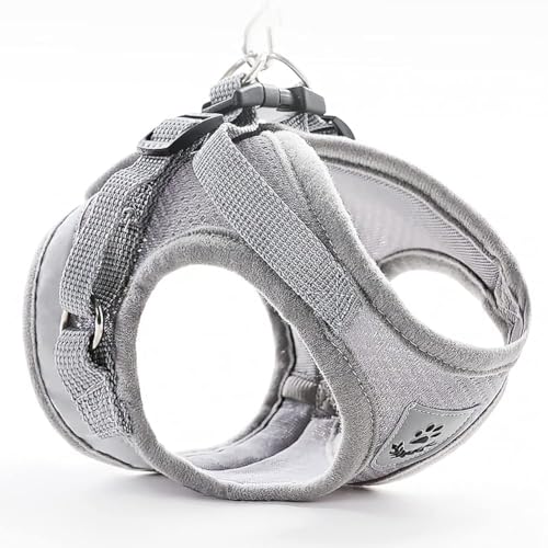 Image of FEimaX Dog Harness and Leash Set for Walking, Soft Mesh Adjustable Easy Control Lightweight Cat Vest Harnesses with Reflective Strips, Escape Proof Small Dogs Cats Vests (Grey, Small)