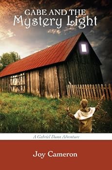 Paperback Gabe and the Mystery Light Book