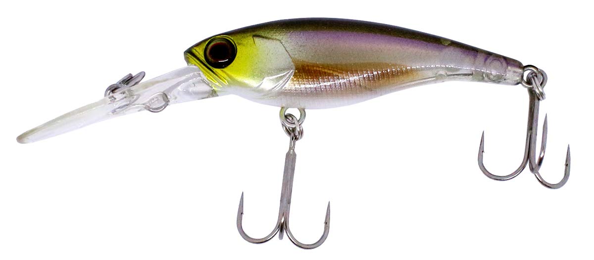 : JACKALL(ジャッカル) シャッド ソウルシャッド DR SP