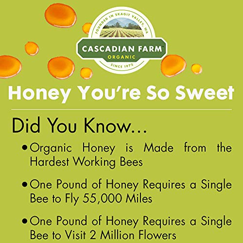 Cascadian Farm Organic Cereal, Honey Nut O's, 9.5 oz