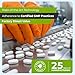 TIME-Cap Labs 200 Tablets Cetirizine HCl 10mg Allergy Relief - Antihistamine for Adults & Children Age 6+, Helps Relieve Sneezing, Runny Nose, Itchy Watery Eyes & Itchy Throat