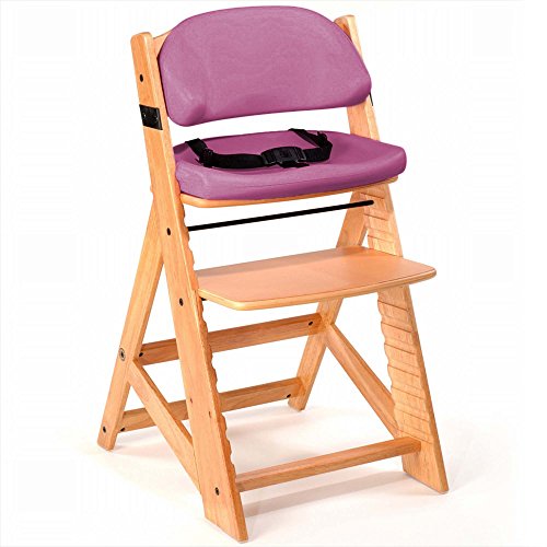 Best Keekaroo High Chair Infant Insert