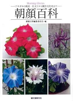 51qTHuYZoYL._AC_UF350,