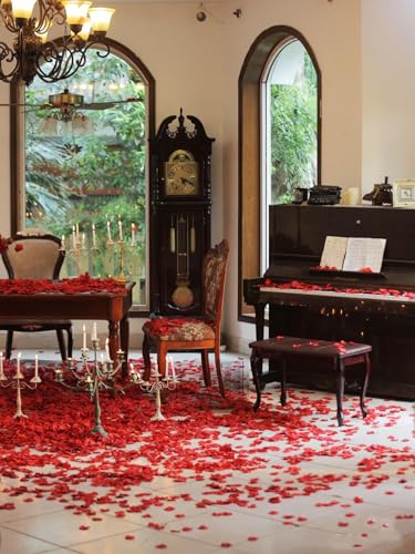 Pétalos secos naturales de rosa roja 100g para decoración miniatura 6